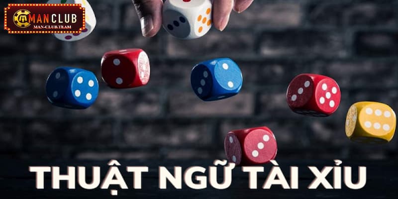 Tổng hợp những thuật ngữ quan trọng trong game tài xỉu online