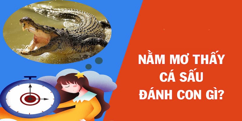 Nằm mơ thấy cá sấu chon số gì để có tài lộc?